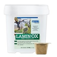 LaminOX&trade; Powder