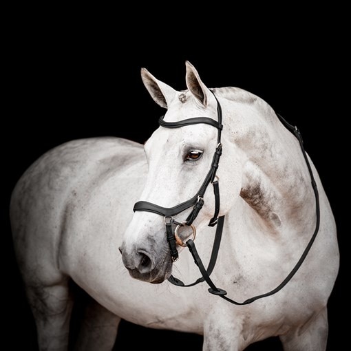 Horseware Micklem&reg; 2 Competition Bridle w/Rein