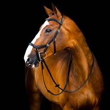 Horseware Micklem&reg; 2 Deluxe Competition Bridle w/Reins