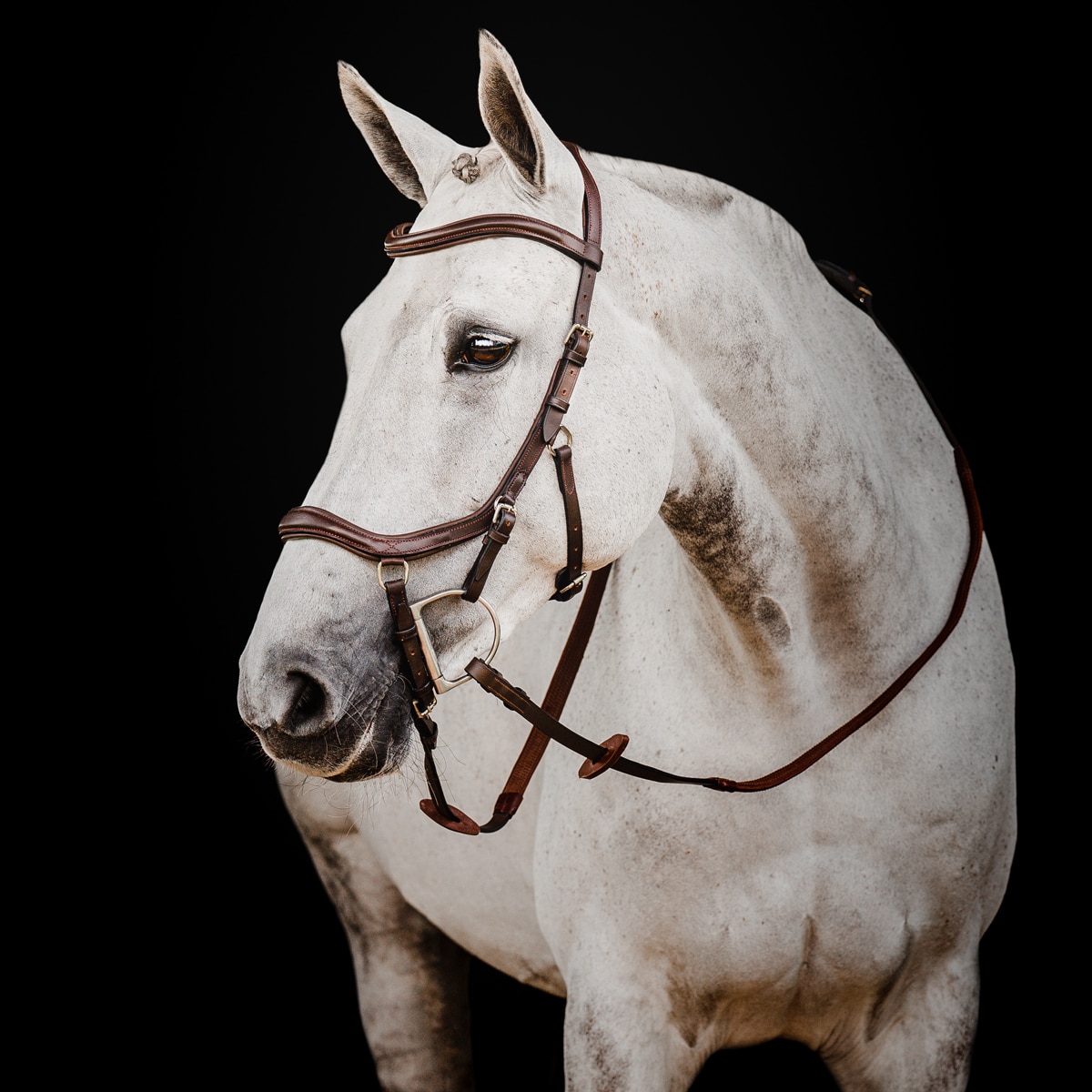 Horseware Micklem Bridle