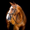 Horseware Micklem&reg; 2 Diamante Competition Bridle - Black