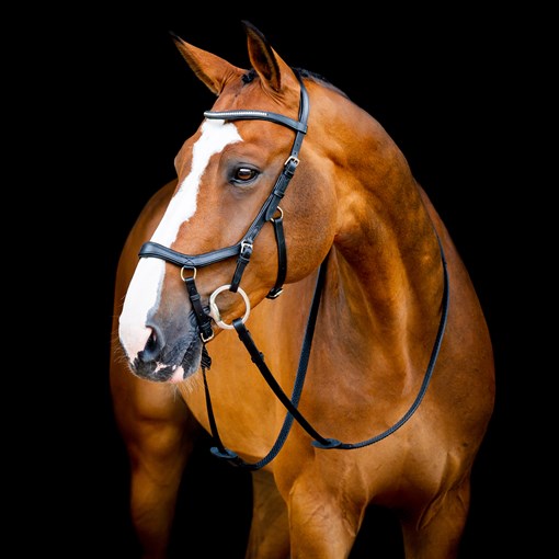 Horseware Micklem&reg; 2 Diamante Competition Brid