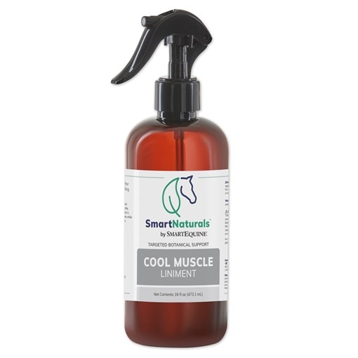 SmartNaturals Cool Muscle Liniment