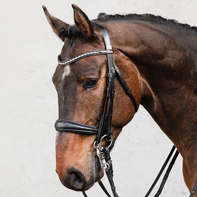 Bride D'équitation SCHOCKEMÖHLE Pour Cob - Incomplète - Pour Pièces/détachées