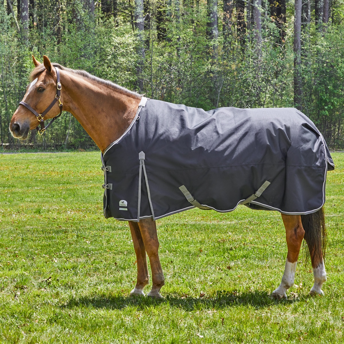 Schneiders Horse Turnout Blanket & Fly Sheet Padded Leg Strap