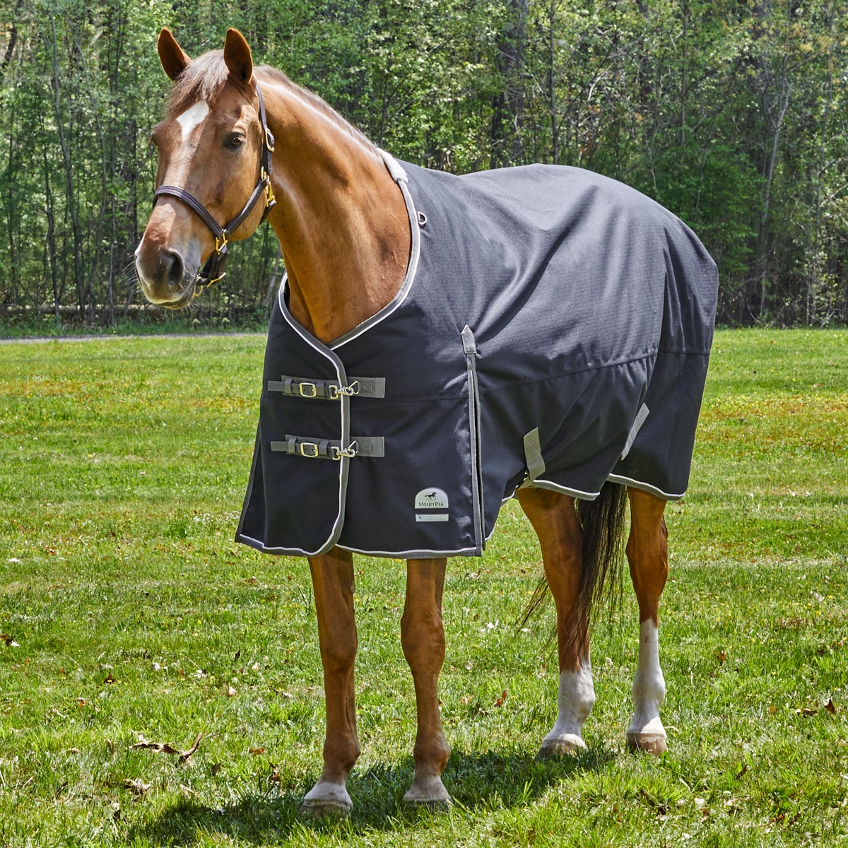 Schneiders Horse Turnout Blanket & Fly Sheet Padded Leg Strap