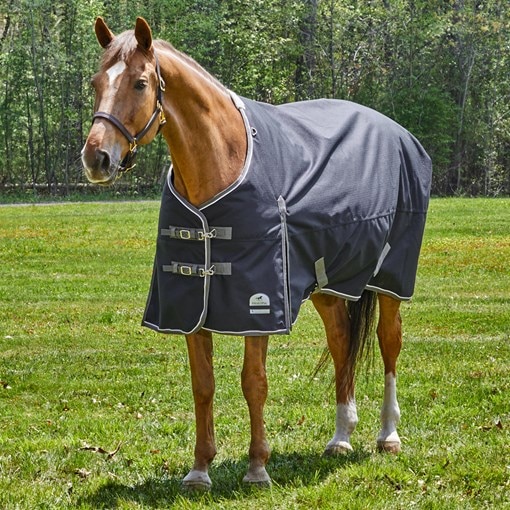 SmartPak Deluxe Oversized Turnout Sheet with Earth