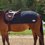 Back on Track Therapeutic Exercise Quarter Sheet — Warmblood Tack