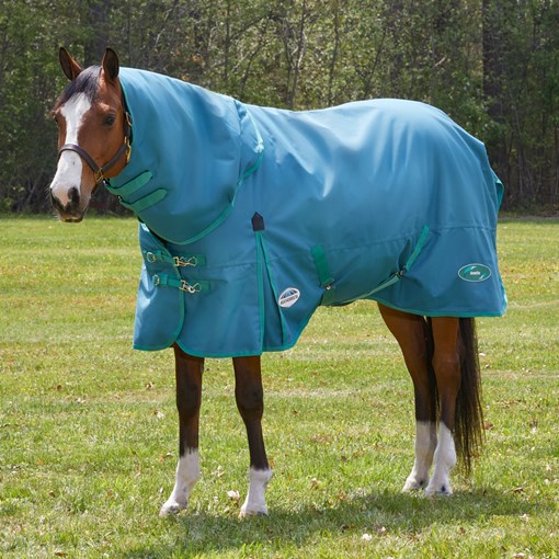 Weatherbeeta Green-Tec Detach-A-Neck Turnout Blank