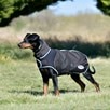 WeatherBeeta ComFiTec Ultra Cozi II Dog Coat - Charcoal/Teal Blue/White