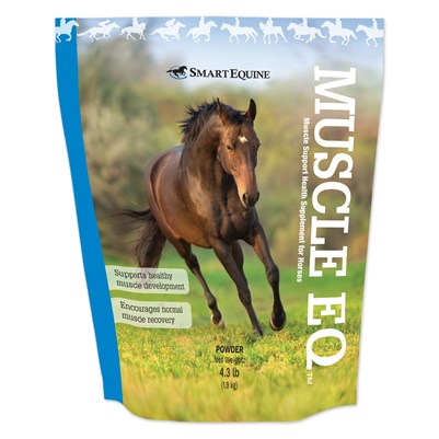 l carnitine equine supplement Acetyl L-Carnitine (ALCAR) – My Best Horse Inc and wild salmon (it gives salmon its pink colour) L-Carnitine supplement for horses and