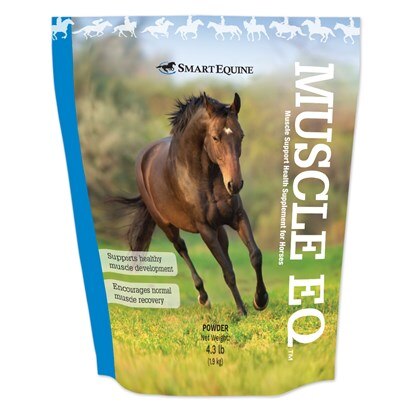 Muscle EQ Powder Muscle EQ Powder