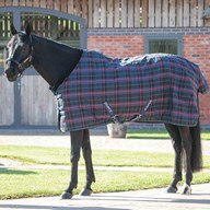 Shires Tempest Plus Stable Blanket