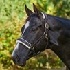 SmartPak Leather Halter w/Removable Fleece - Brown