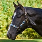 SmartPak Leather/Rope Halter
