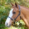 SmartPak Leather/Rope Halter - 