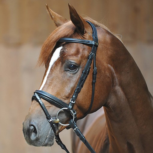 Kavalkade Ravenna Bridle