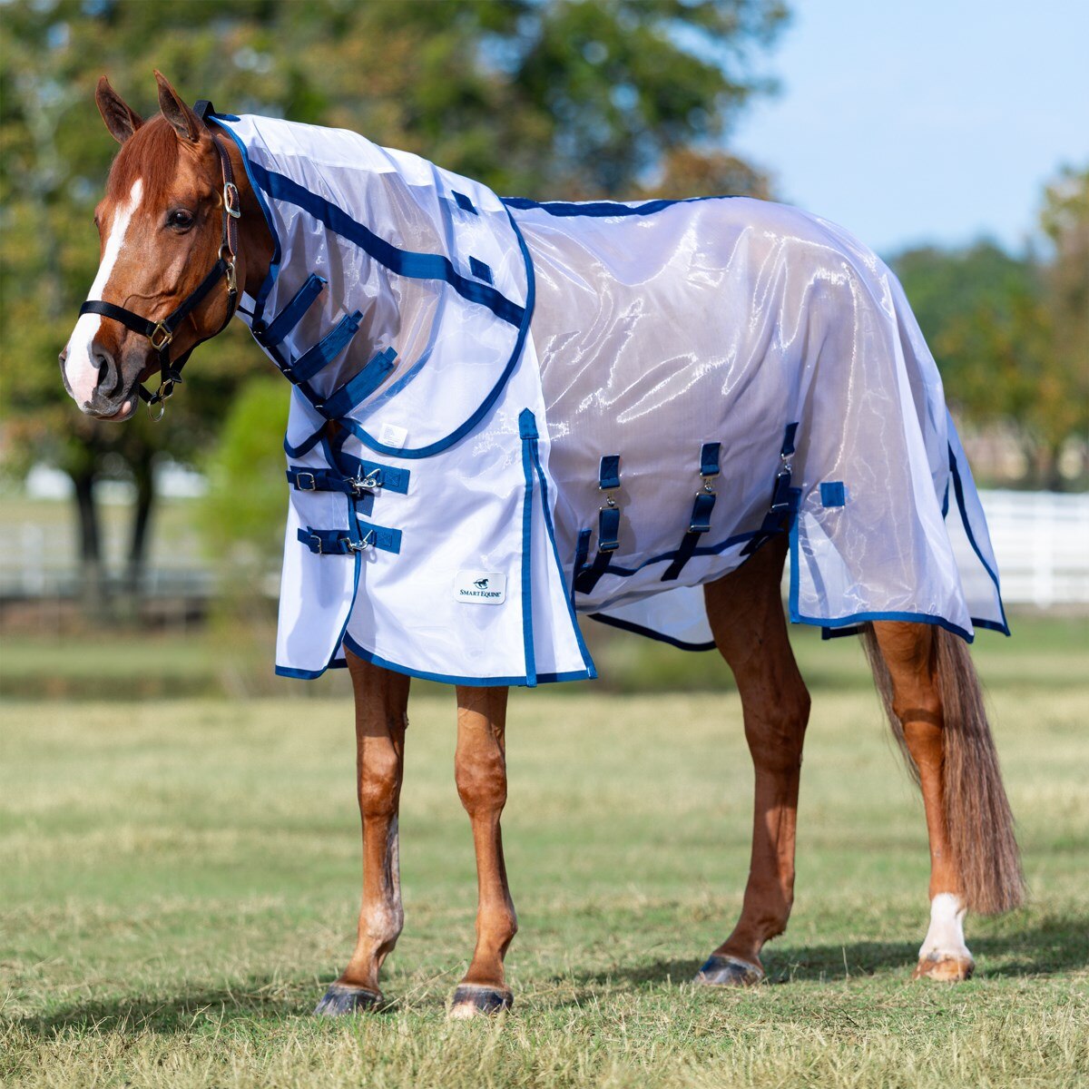 HM Horse Fly Rug Combo With Full Neck Mask – Lightweight Bug Sheet For Pony & Horse (Made In UK)