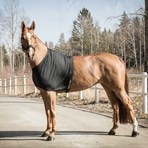 Back on Track Therapeutic Exercise Quarter Sheet — Warmblood Tack