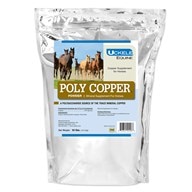 Poly Copper&trade; Powder