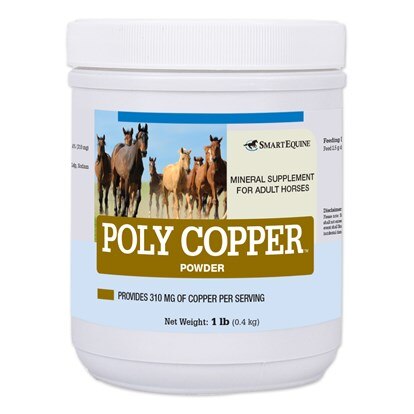 Poly Copper&amp;trade; Powder