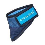 Cool on Track Bandana by Back on Track