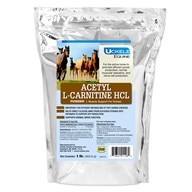 Acetyl L-Carnitine HCL Powder