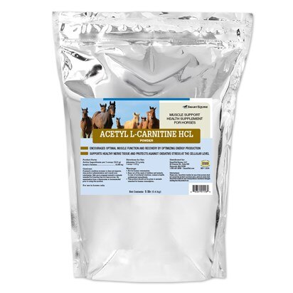 acetyl l carnitine hair Amazon.com: Acetyl L-Carnitine Supplement 1000MG Gummies - Sugar Free Alcar  L-Carnitine Gummies for Men Women Support Muscle Endurance Brain Health  Energy Metabolism main image 0