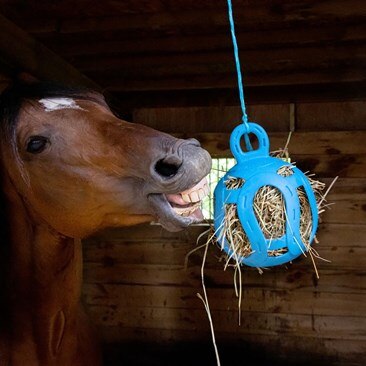 Jolly Hay Ball&trade;