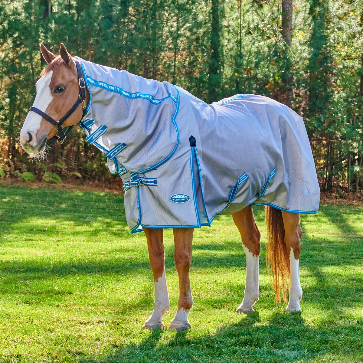 Couverture Cheval Weatherbeeta ComFitec Hexi Shield – Taille 5’9 – Blanche – Occasion