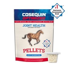 Cosequin&reg; Optimized with MSM Pellets