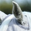 Premier Equine Buster Standard Fly Mask - Silver