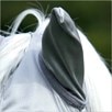 Premier Equine Buster Xtra Fly Mask - Silver