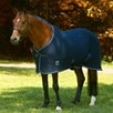 SmartPak Deluxe Cooler - Navy