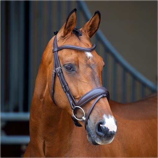 Shires Velocity Lusso Dressage Flash Bridle