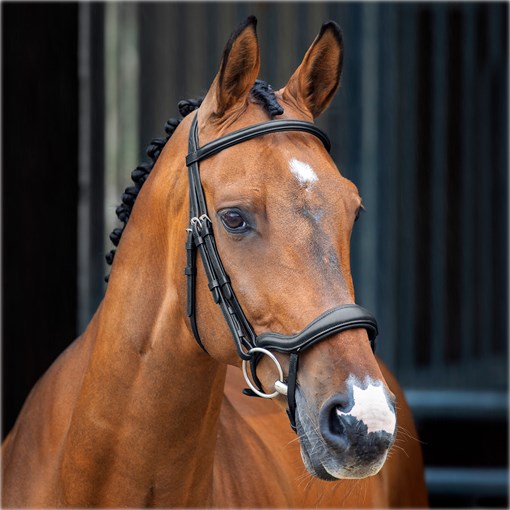 Shires Velocity Lusso Ergonomic Flash Bridle