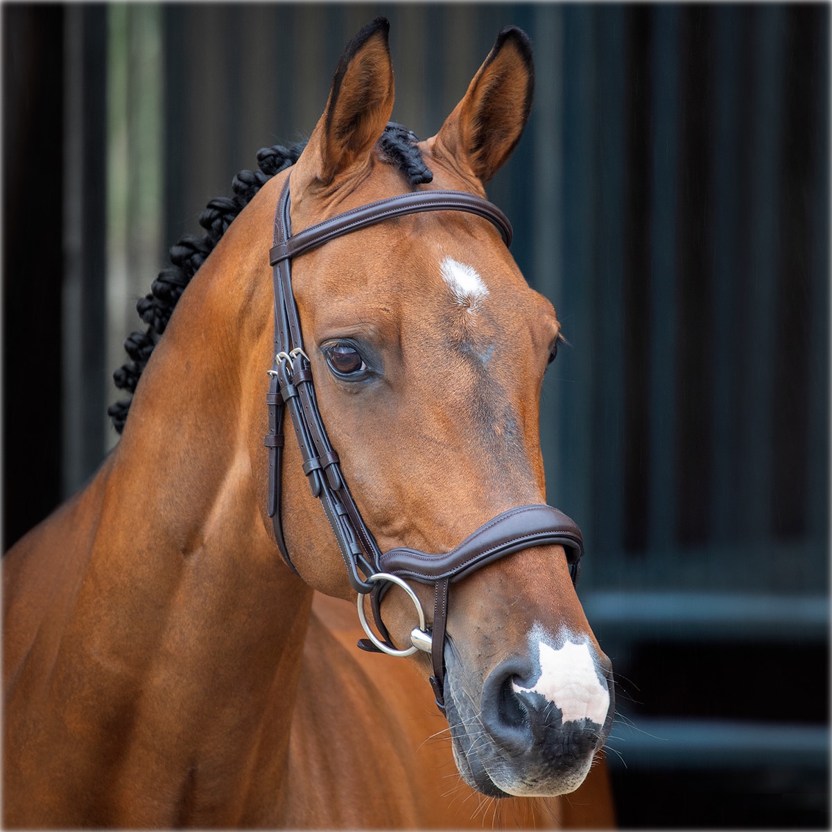 Shires Velociti Lusso Bridle