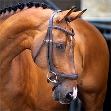 Shires Velociti Lusso Curved Ergonomic Flash Bridle