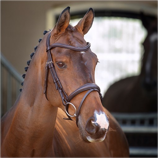 Shires Velocity Lusso Padded Raised Flash Bridle