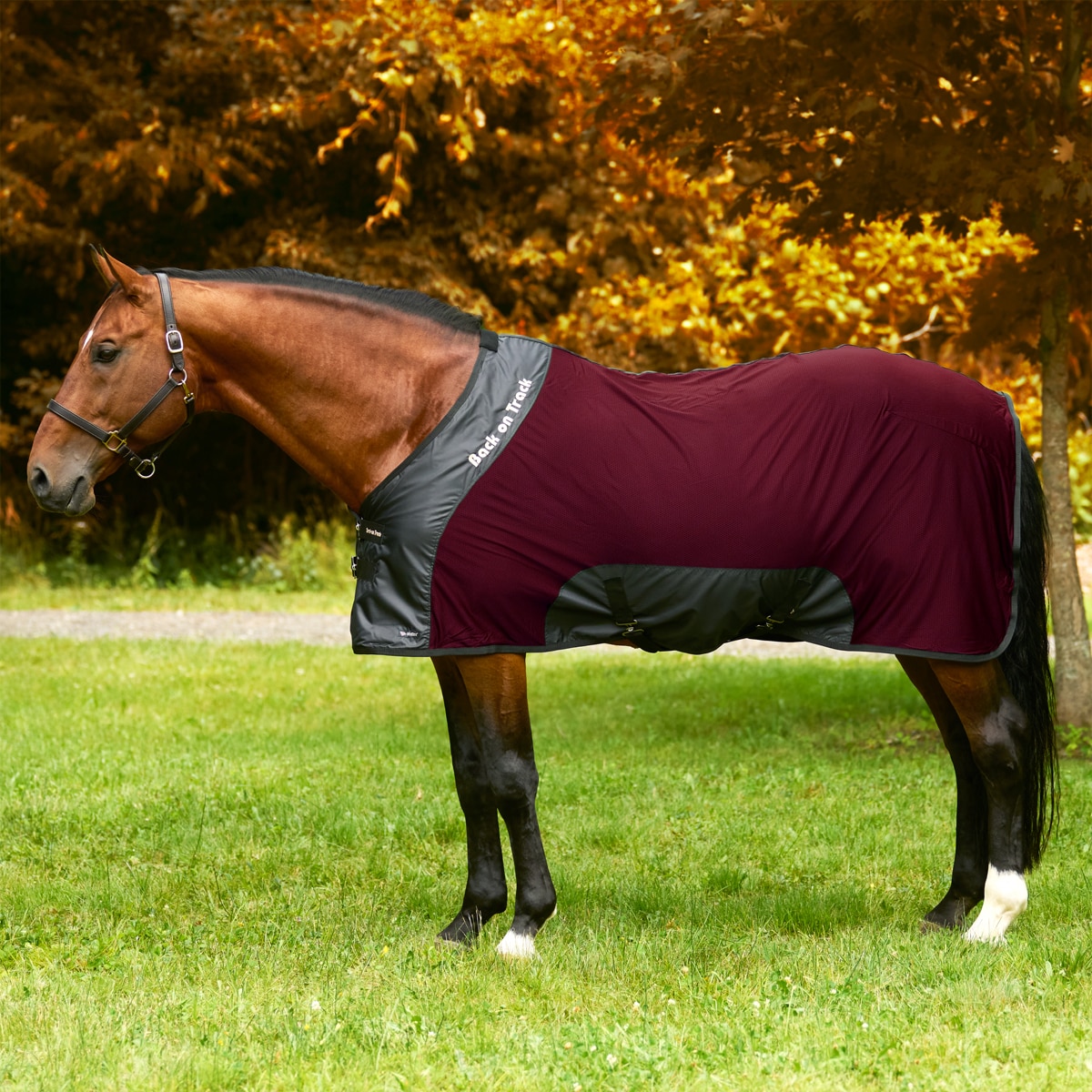 Horse Blankets Back On Track Fleece Cooler Back On Track® Equine