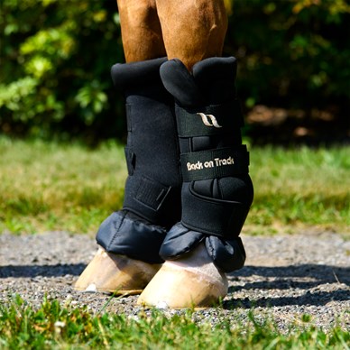 Back on Track No Bow Leg Wraps for Horses 2050 with