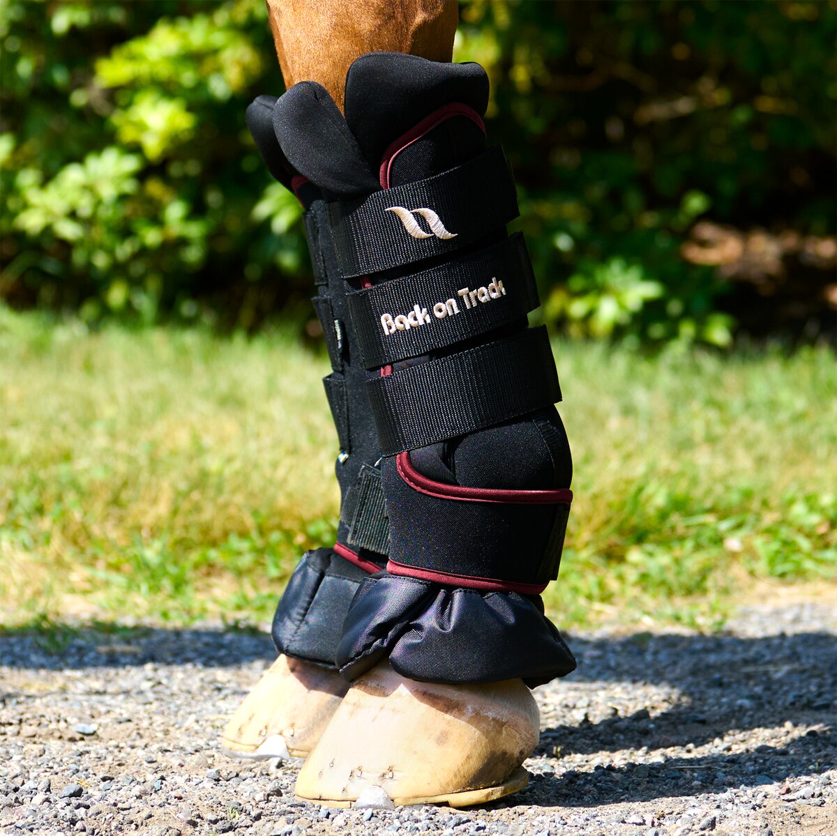 thumbnail image 2 of Back On Track Therapeutic Quick Wraps – Black (Available In 12, 14, 16 Inch Sizes) 2 of 6