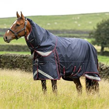 LeMieux Kudos Thermo Layer Turnout Blanket