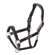 Shires Velociti RAPIDA Cushioned Leather Halter