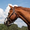 GreenGuard Grazing Muzzle - 