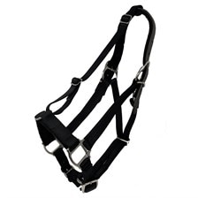 GreenGuard Premium Breakaway Halter