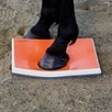 SURE FOOT&trade; Equine Balance Pad- Half PhysioPad - 