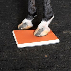 SURE FOOT&trade; Equine Balance Pad- Half PhysioPad