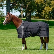 SmartEquine Ultimate Stable Sheet