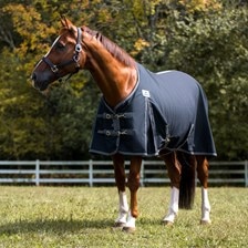 SmartEquine Ultimate Stable Sheet